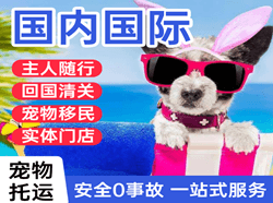 淮安航空邮寄国际宠物托运 【国